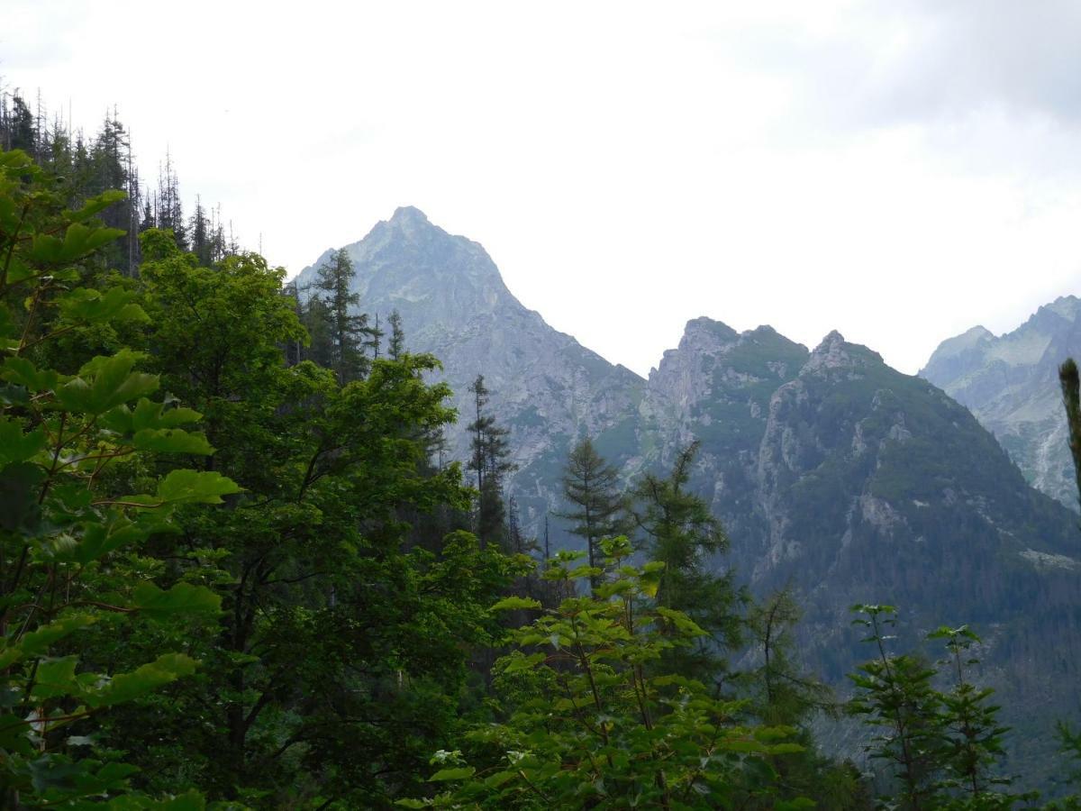 High Tatras - Patris 27