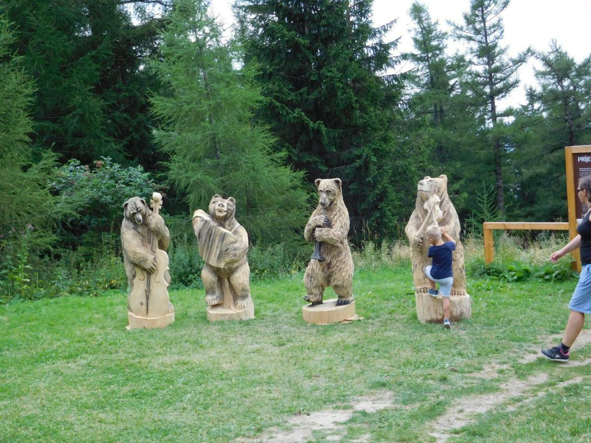 Homestay High Tatras - Patris 27